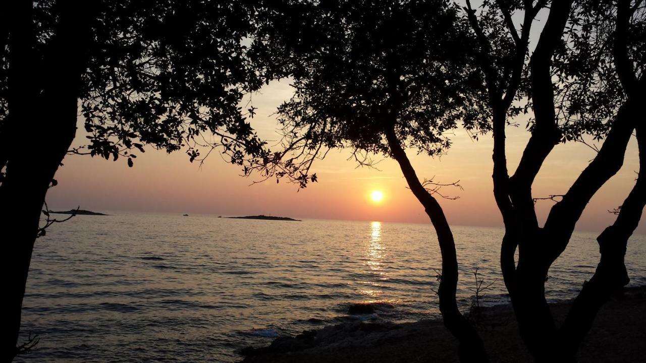 Apartment Maestral Poreč Dış mekan fotoğraf